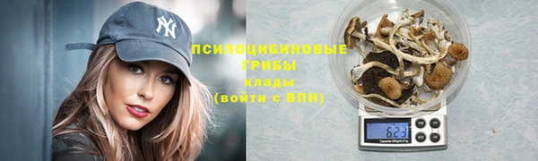МДПВ Наволоки